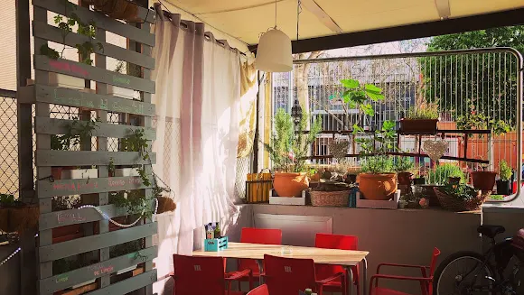 La Cantina del Canastell - San Vicente del Raspeig