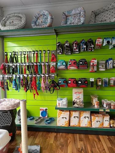 Interzoo Elche   Productos para mascotas | Comprar pienso para perros y gatos