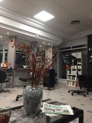 Peluqueria Carmen Madridejos