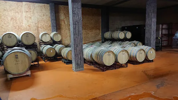 Bodegas Pinoso - Pinos (el)/Pinoso