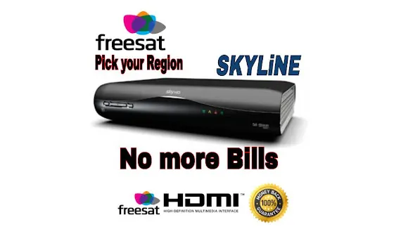 Skyline Satellite