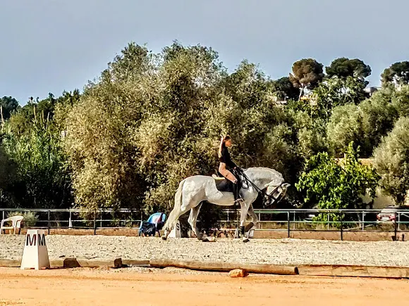 Horse Riding Center