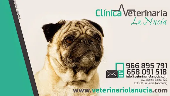 Clínica Veterinaria la Nucia - la Nucia