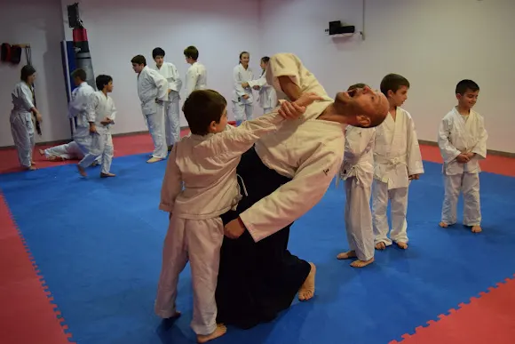 Aikido Aikikai Alicante, en San Vicente del Raspeig - San Vicente del Raspeig