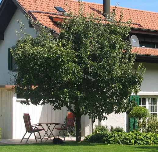 Vacation Club Points Rentals