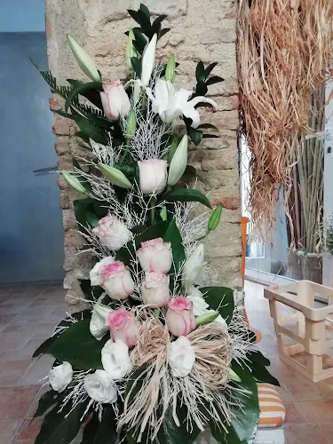 Fotosintesi