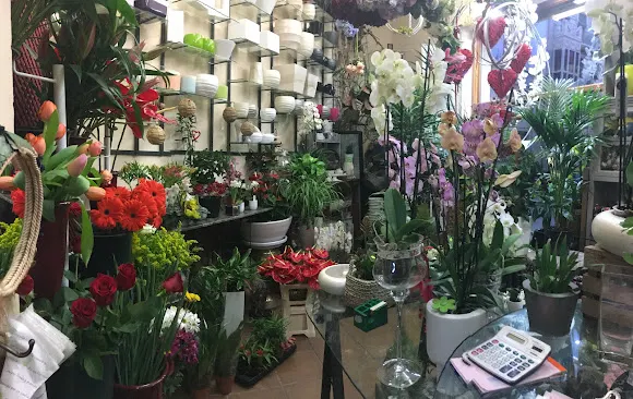 La Orquídea