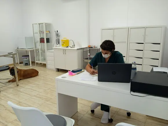 NextVet - Clínica Veterinaria Ondara