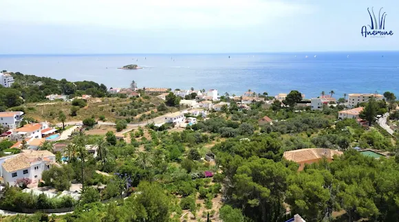 Anemone Experience - Altea
