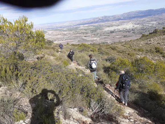 Alto de Camara - Elda