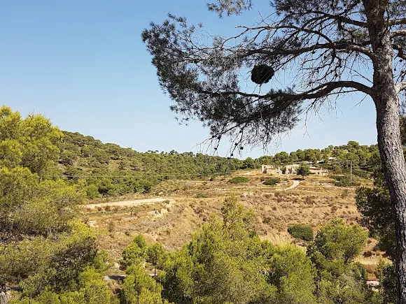 Aula De La Naturaleza Monte Coto - Alguena