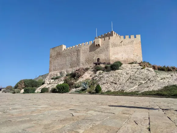 Castillo de Petrer - Petrer