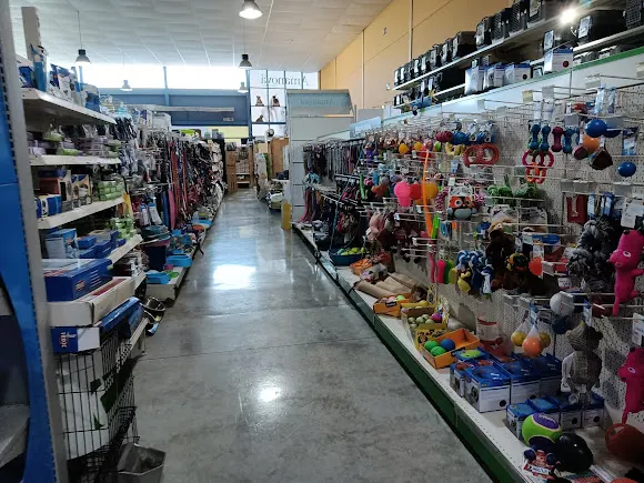 Torremascotas S.l.