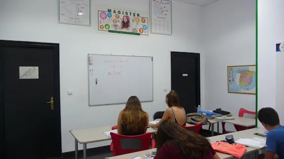 Academia Magister más que Ciencias - Alicante