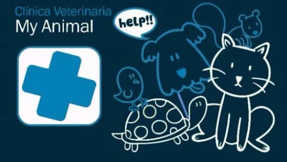 Consultorio Veterinario My Animal - Alicante