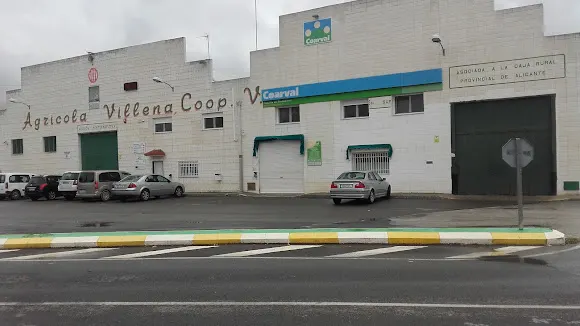 Agrícola Villena S.L.