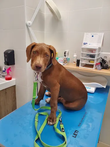 Clínica veterinaria 7 Vidas-La Nucia - la Nucia