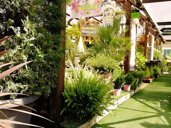 Hidrojardin
