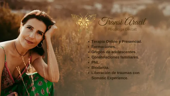 Transi Aracil - Orba