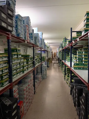 Calzados Selquir S.L. - Elche