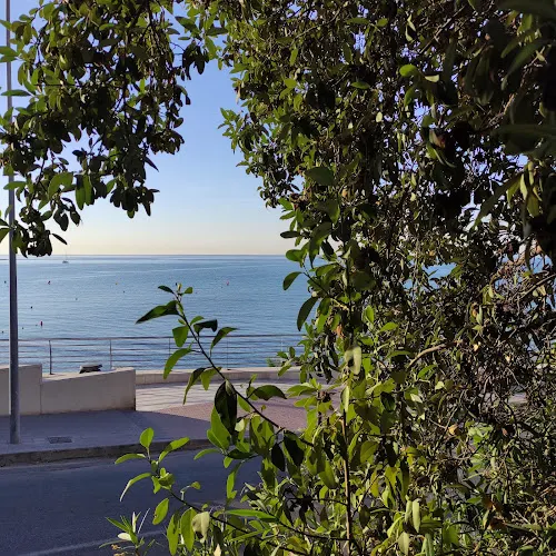 Aparcamiento gratuito - Alicante