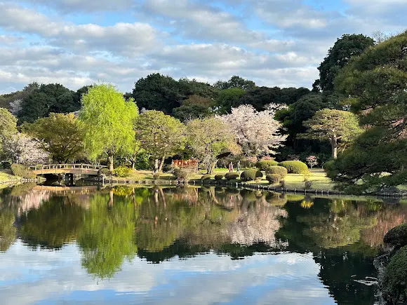 Descubriendo Japón Viajes - San Vicente del Raspeig