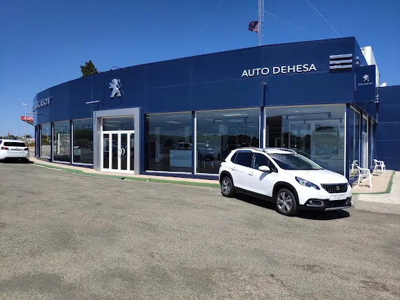 Auto Dehesa S L