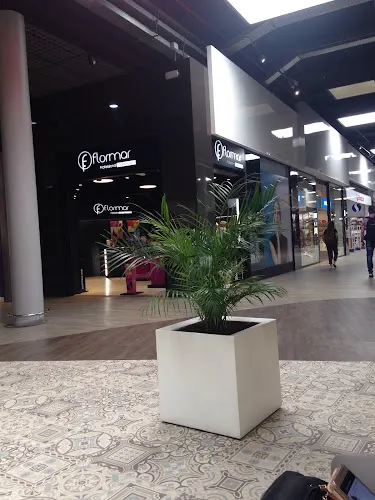 FLORMAR ALICANTE - San Vicente del Raspeig
