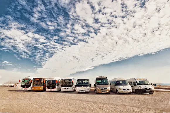 TEMIBUS, S.L. - Servicio de transporte en Alicante