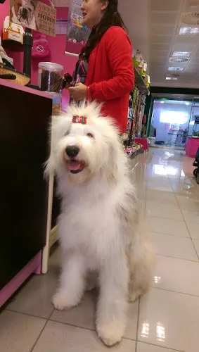 El Eden Mascotas y Accesorios - l'Alfas del Pi