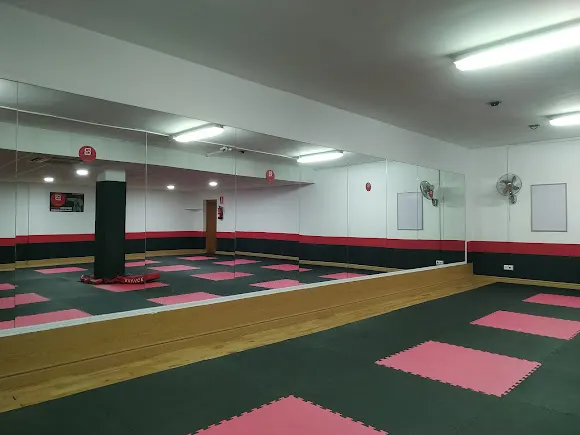 Savage Martial Arts Orihuela Costa