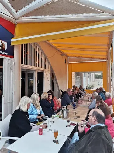 Momo house albir bar and pool house - Tienda de mobiliario para bares y restaurantes en Alfas del Pi (l)