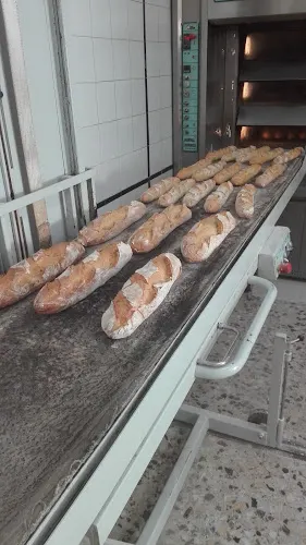 Andrés Sánchez Manchado - Bigastro