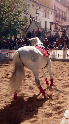 Texlun S.L. - Cocentaina