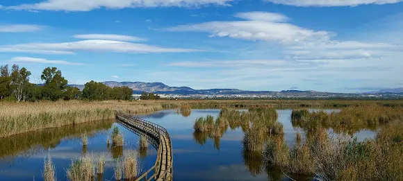 Parque Natural El Hondo, Puerta Norte - Crevillent