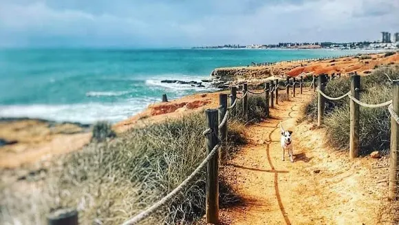 The Bay Properties - Torrevieja