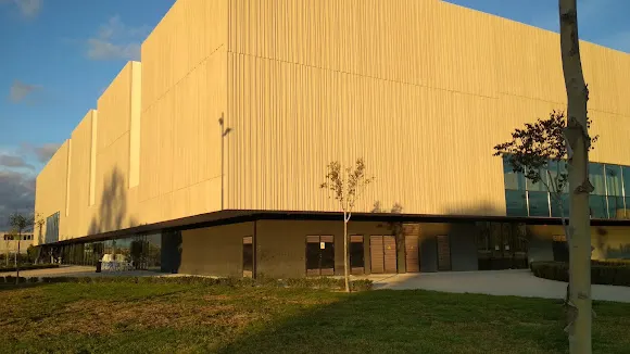 UMH: CAFETERÍA Edificio Arenals - Elche
