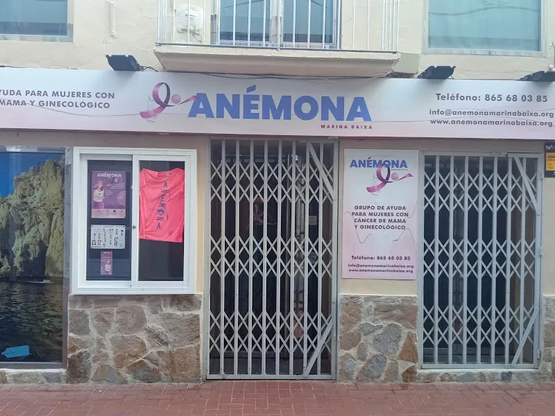 Anémona Marina Baixa - Benidorm