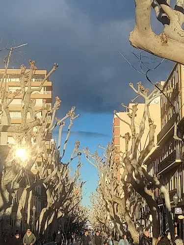 Registro de la Propiedad de Dénia Nº 01 - Denia