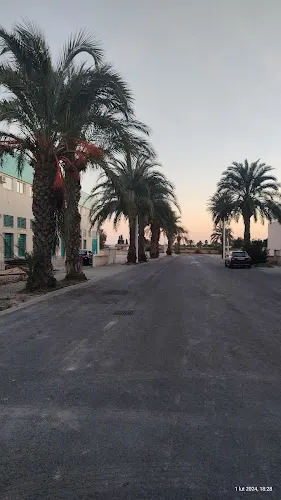 Hortalizas Massem - Elche