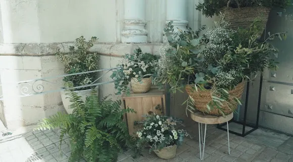 Floristería en Alicante - Las flores de Aurora