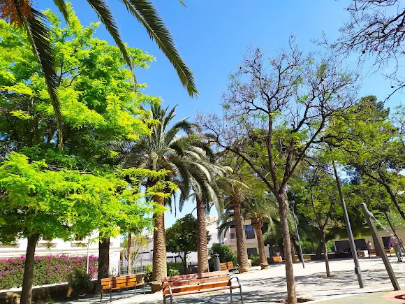 Plaza San Juan de Dios - Alicante
