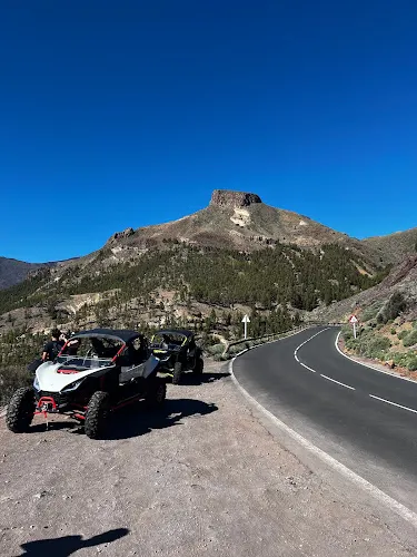 Buggy-Doo! - l'Alfas del Pi