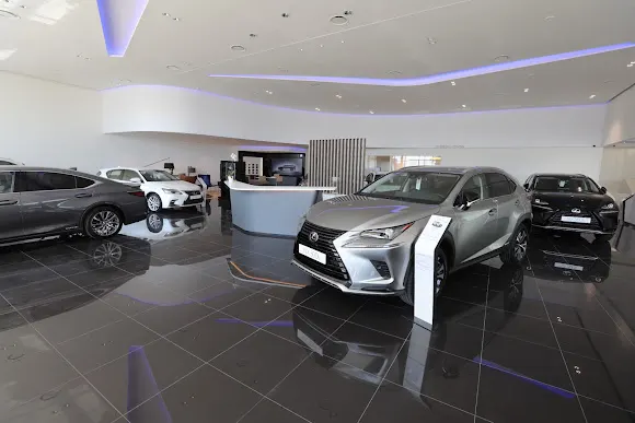 Lexus Elche - Elche