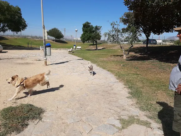 Parque Canino Río Seco - Campello