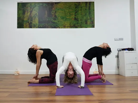 BODHI YOGA CENTRO