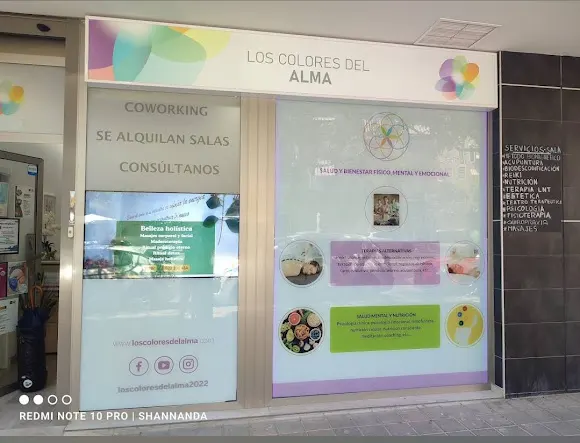 LOS COLORES DEL ALMA - Alicante