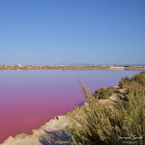 Lago Rosa de Torrevieja - Torrevieja