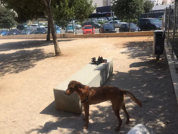 Parque canino - Denia