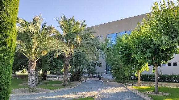 Universidad Miguel Hernández - Elche